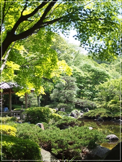d0013149_00300079.jpg