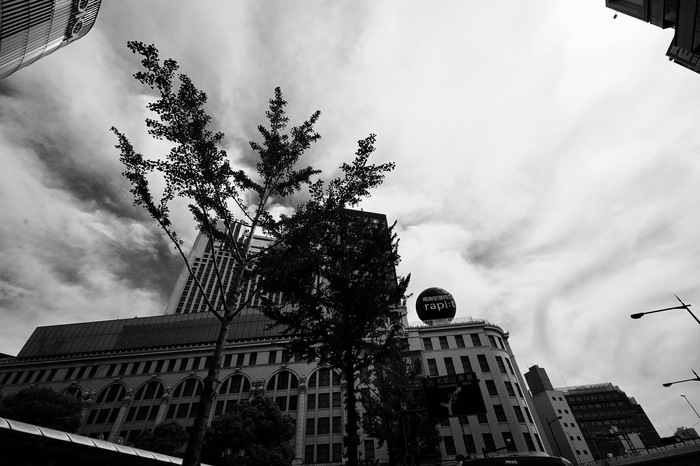 f0057849_11316.jpg