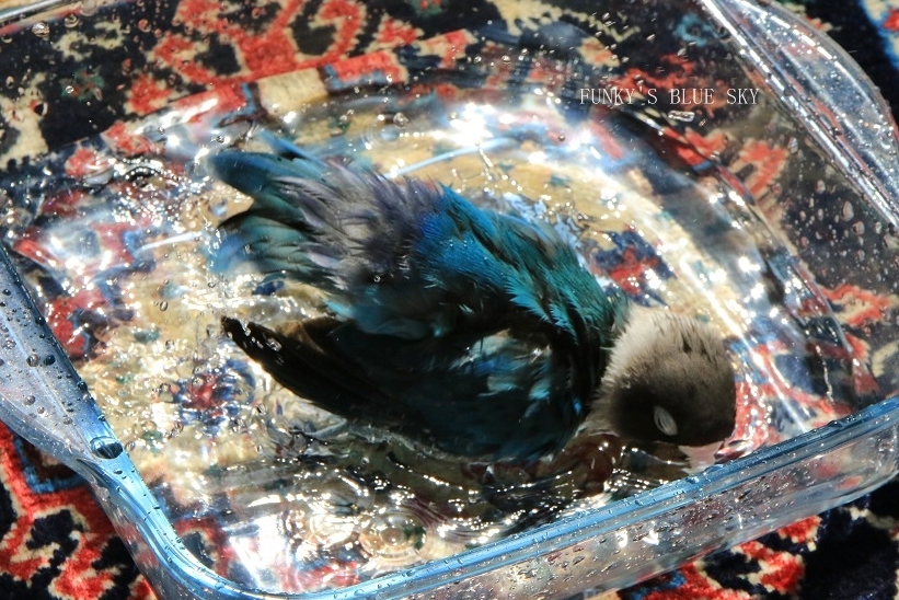 c0145250_08533274.jpg
