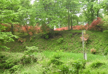 e0172950_1942212.jpg