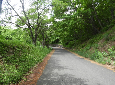 二本木峠（再び）と美の山公園_e0172950_21131226.jpg