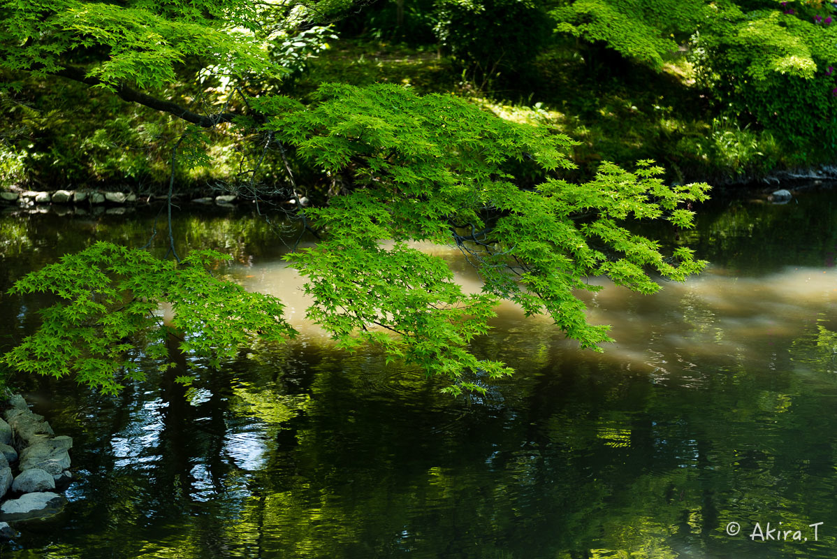 f0152550_19091887.jpg
