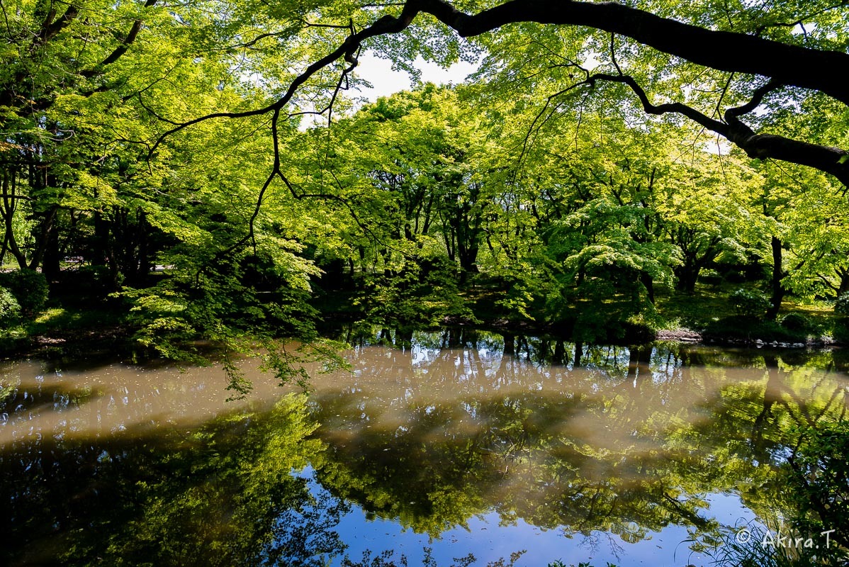 f0152550_19120183.jpg