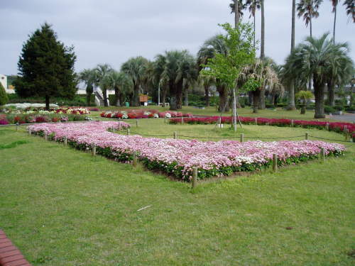 c0017651_23380787.jpg
