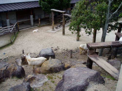 c0017651_23465377.jpg