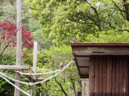c0017651_23504412.jpg