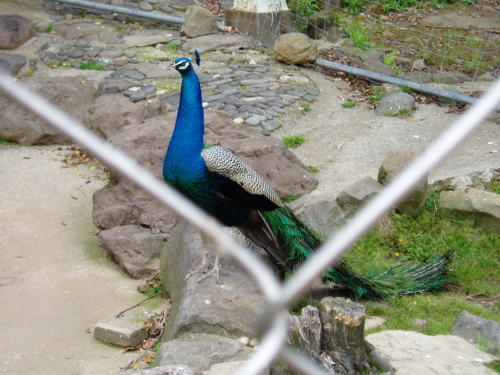 c0017651_23551726.jpg
