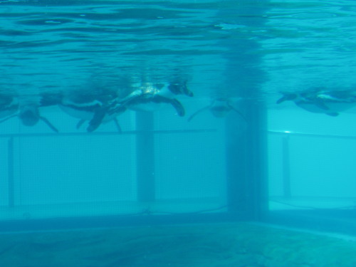 c0017651_23583925.jpg