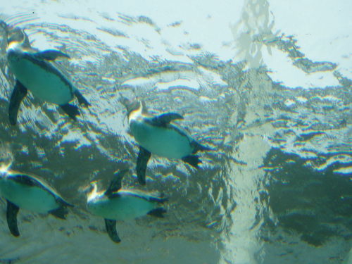 c0017651_23590340.jpg