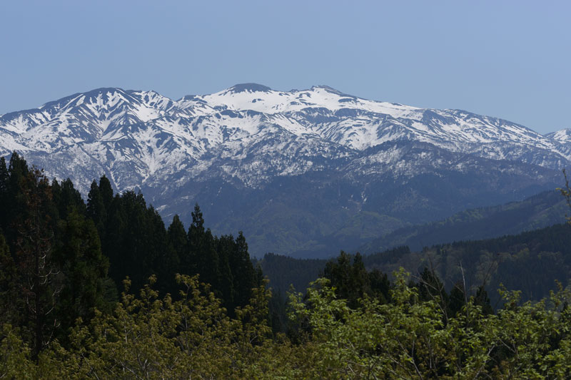 d0342652_1645025.jpg