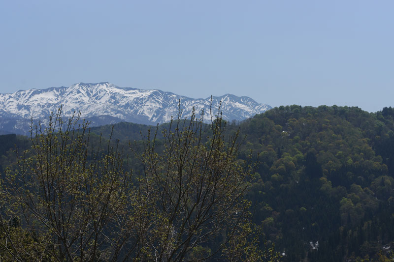 d0342652_16455325.jpg
