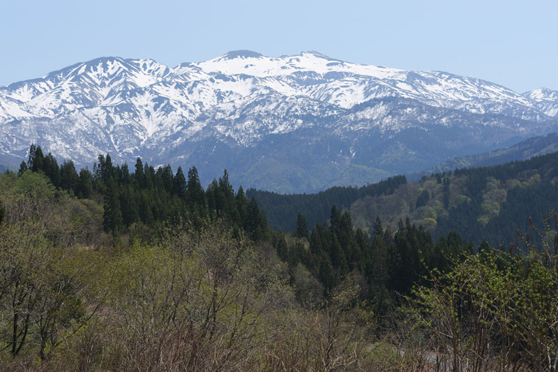 d0342652_16464496.jpg