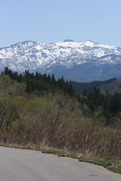 d0342652_1647125.jpg