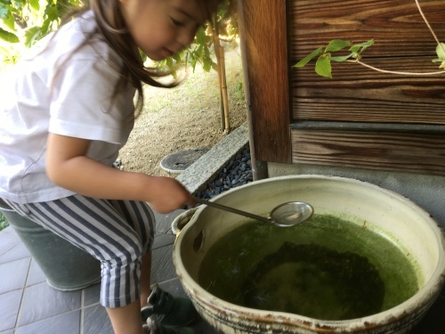 a0152454_10291079.jpeg