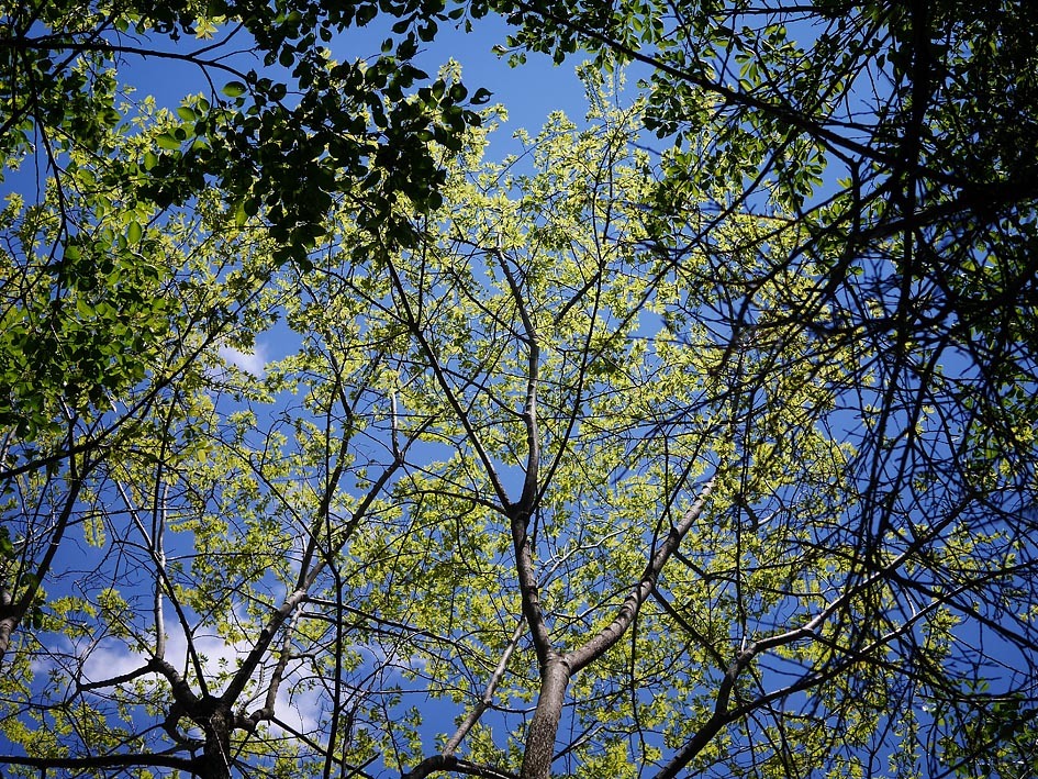 d0072855_14295853.jpg