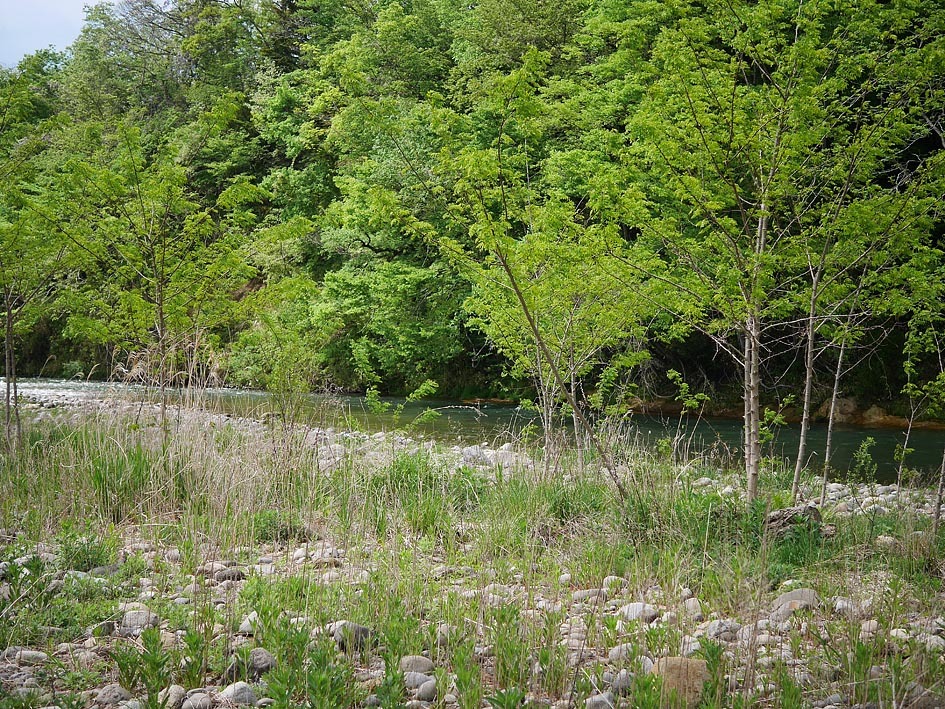 d0072855_14420564.jpg