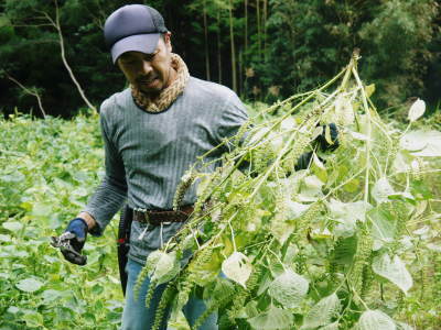 父の日ギフトにおすすめ!(2022) お父さんの身体を気遣い「えごま油」「焙煎えごま粒」はいかがですか?_a0254656_16512321.jpg