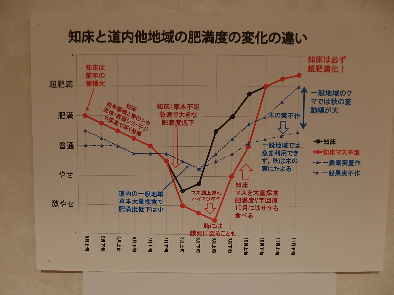 サクラは咲き始めましたが_e0004756_21361849.jpg