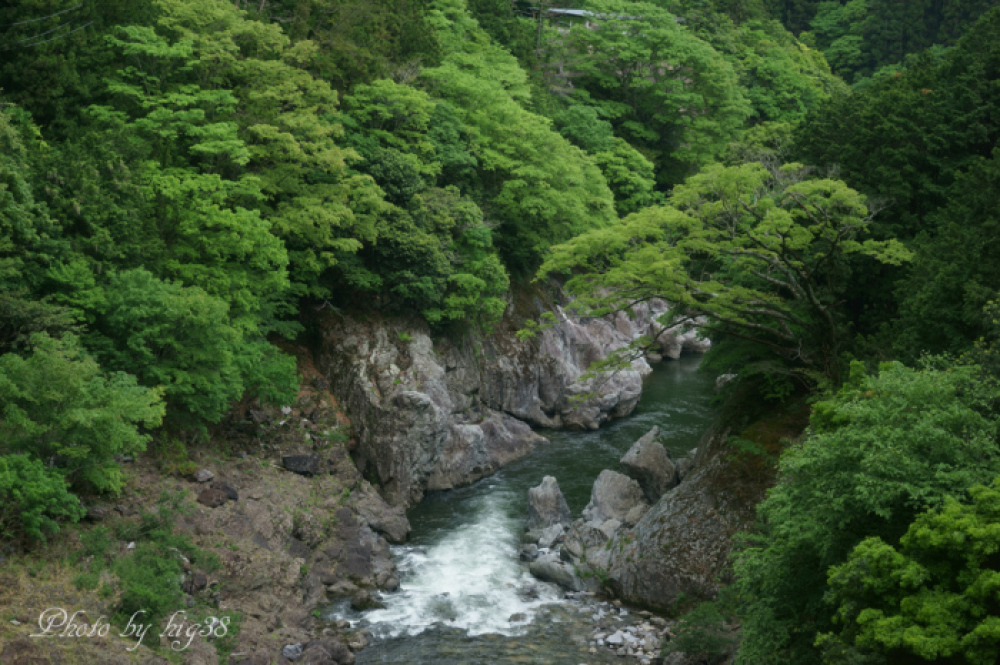 水辺の新緑（２０１８年新緑）_b0122257_23491330.jpg