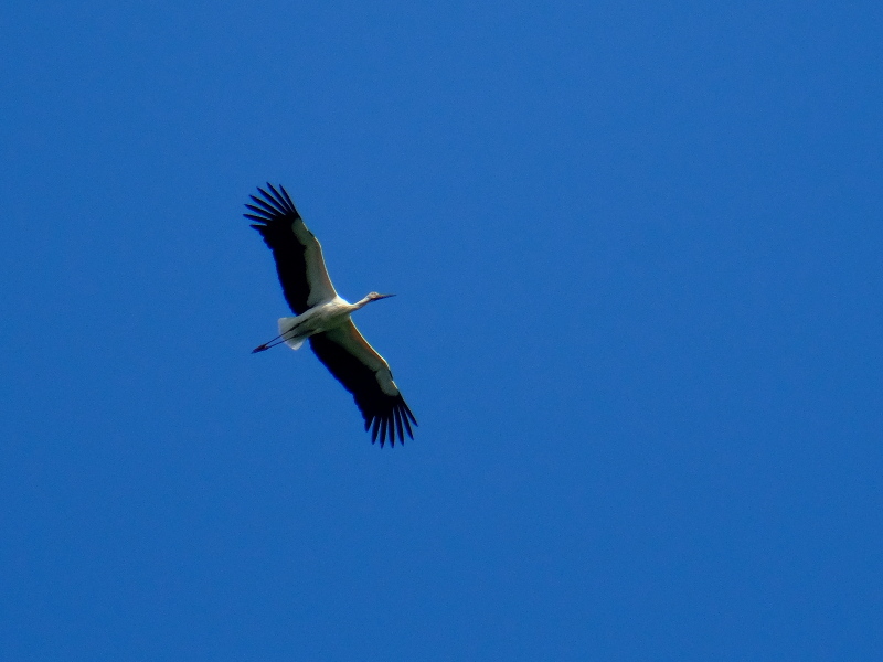 b0369164_07315875.jpg