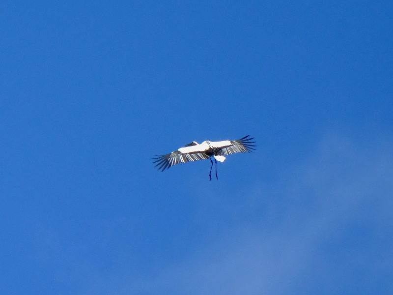 b0369164_07341529.jpg