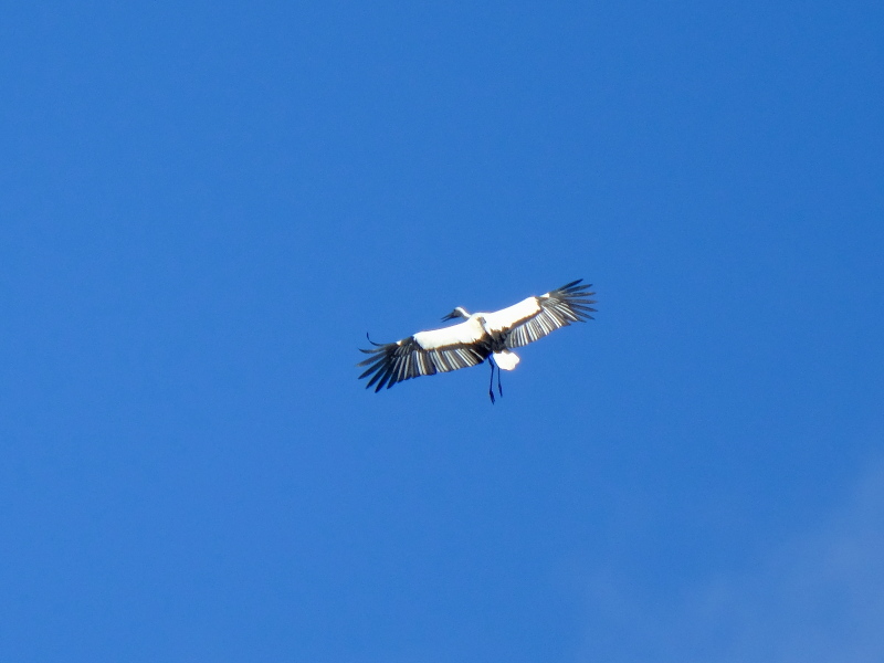 b0369164_07342885.jpg