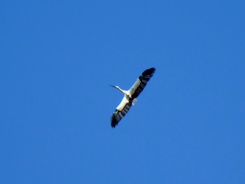b0369164_07352276.jpg