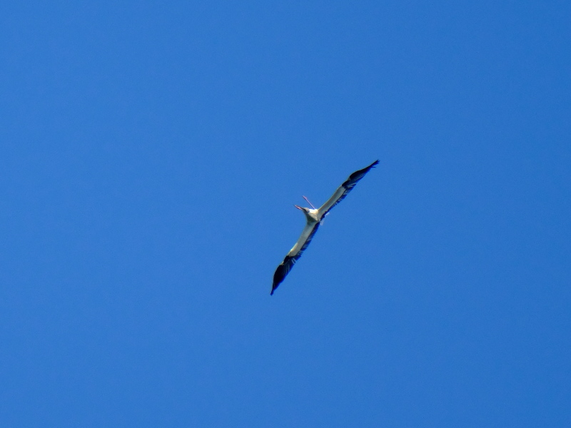 b0369164_07360839.jpg