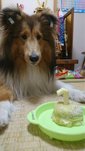 ファミリーの皆様からお写真をいただきました。_f0126965_05495163.jpg