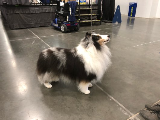 ASSA2018 1_f0126965_06171245.jpg