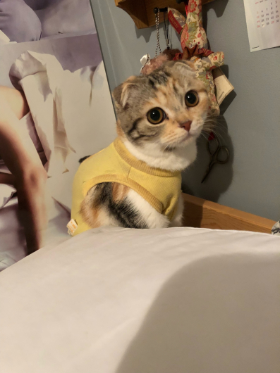 我が家の面々も元気です。_f0126965_07544078.jpg