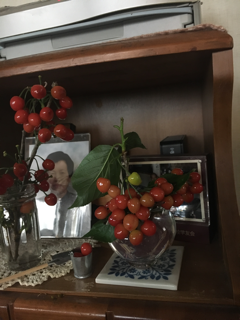さくらんぼ🍒_f0363168_17512561.png