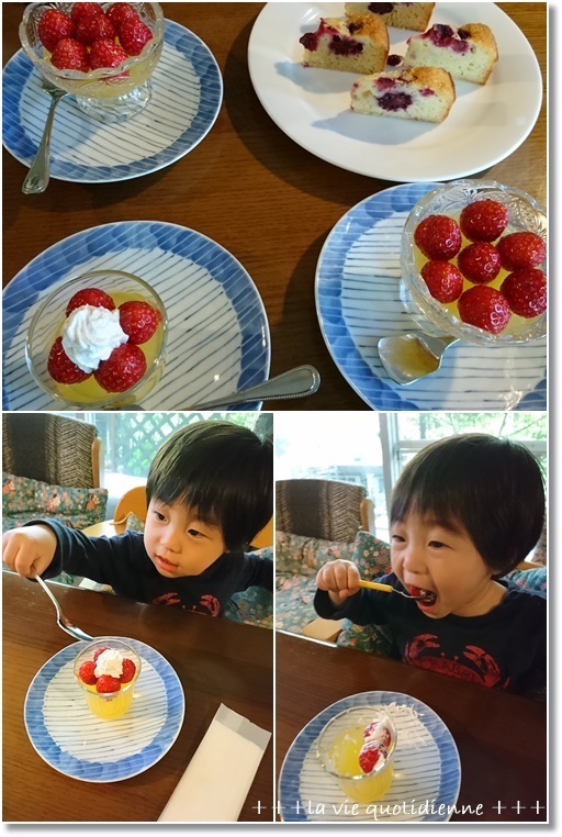 大好きなスコーンと王子のウェルカムお菓子そして御飯色々_a0348473_05251626.jpg