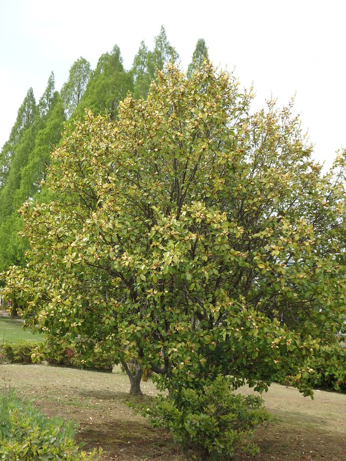 d0054276_19163893.jpg