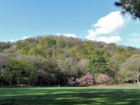 f0083977_22214914.jpg
