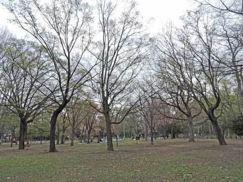 f0083977_22222119.jpg