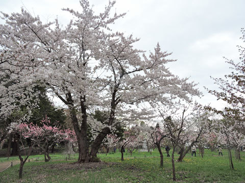 f0083977_22340019.jpg