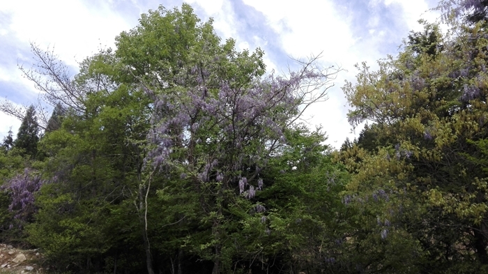 a0199979_17373626.jpg