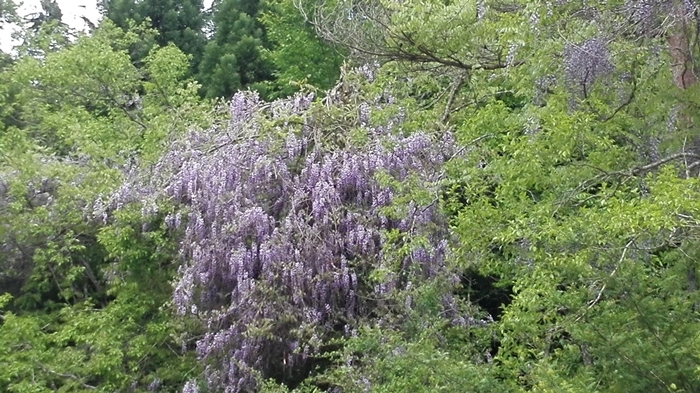 a0199979_17375539.jpg