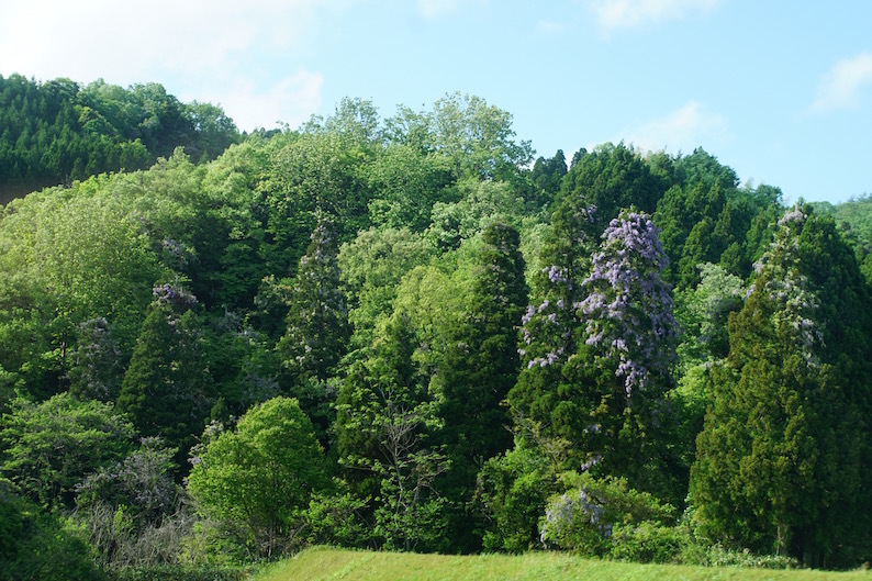 b0057679_08365794.jpg