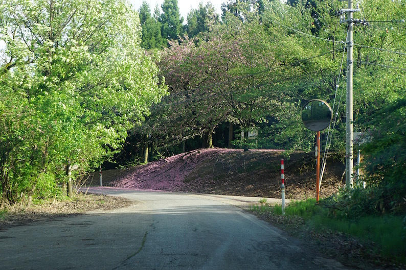 b0057679_08371383.jpg