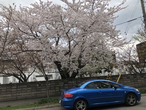 f0333882_17174611.jpeg