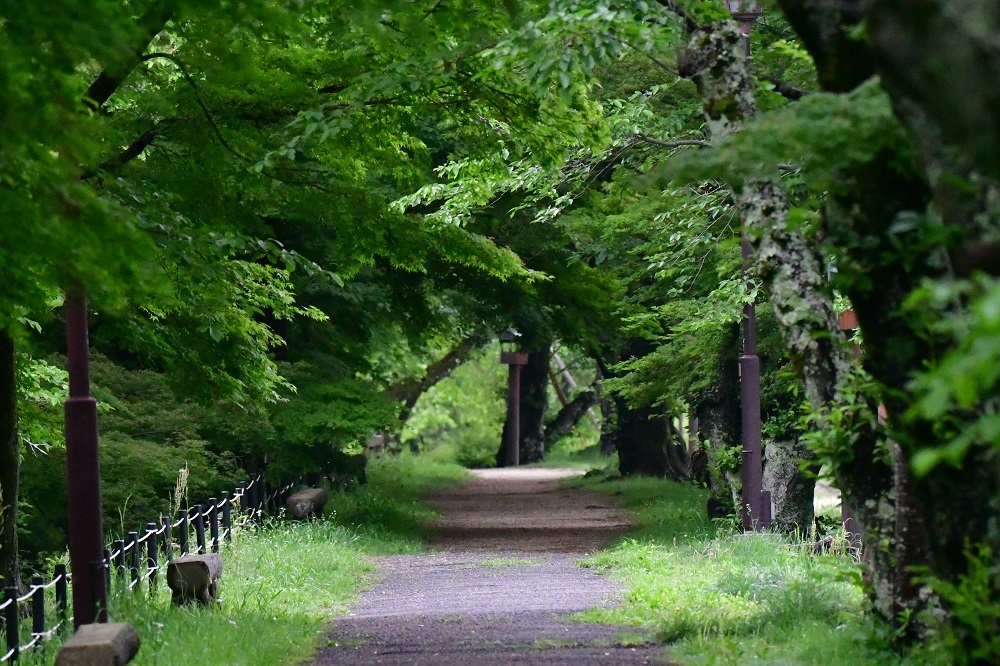 d0361783_19201160.jpg
