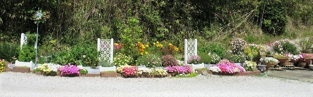b0182884_22330814.jpg