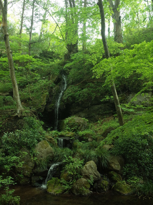 c0188784_17062685.jpg