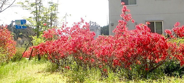 d0329286_11001517.jpg