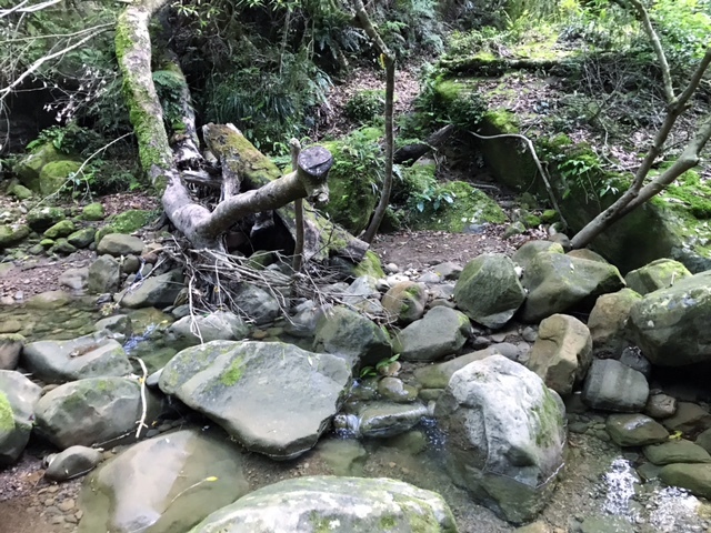 c0184491_18121755.jpg