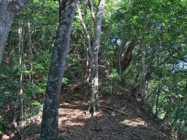 c0184491_18125397.jpg