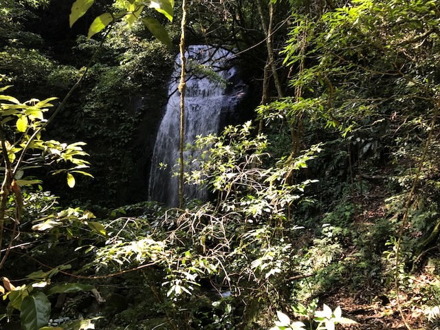 c0184491_18132450.jpg