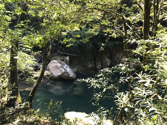c0184491_18132667.jpg